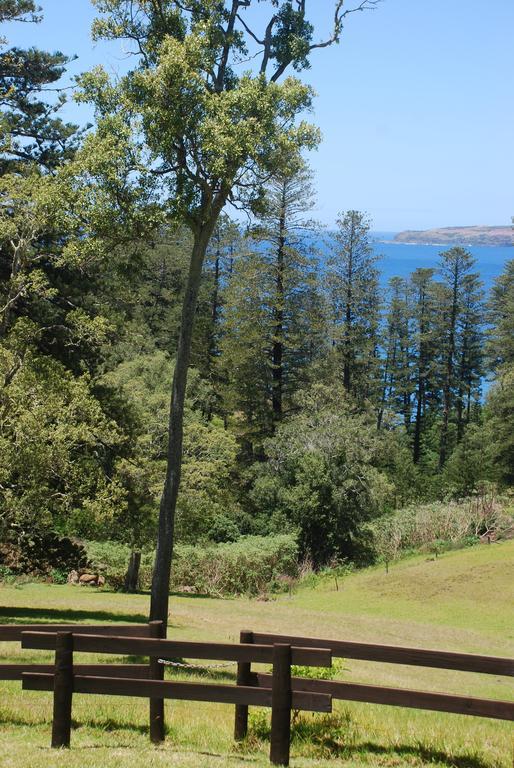 Coast Norfolk Island Appartement Burnt Pine Kamer foto