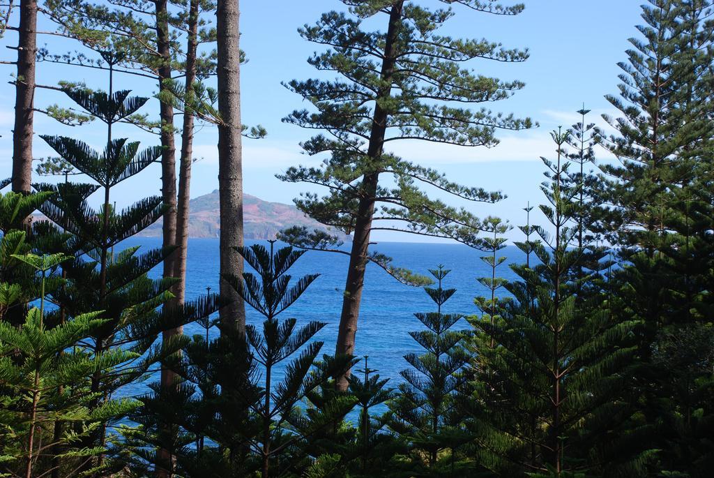 Coast Norfolk Island Appartement Burnt Pine Kamer foto
