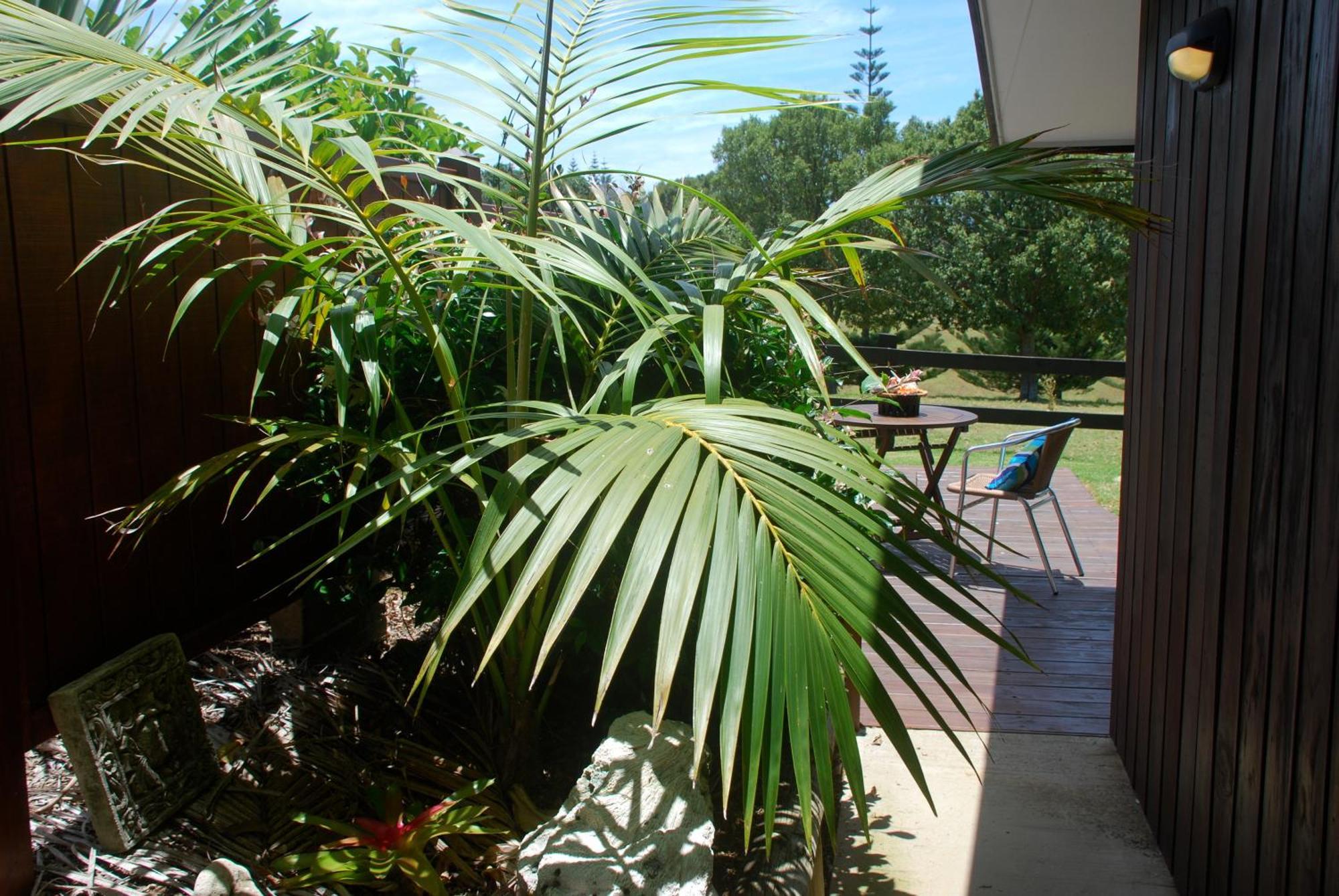 Coast Norfolk Island Appartement Burnt Pine Buitenkant foto