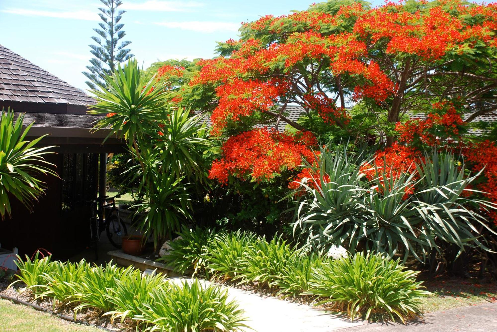 Coast Norfolk Island Appartement Burnt Pine Buitenkant foto