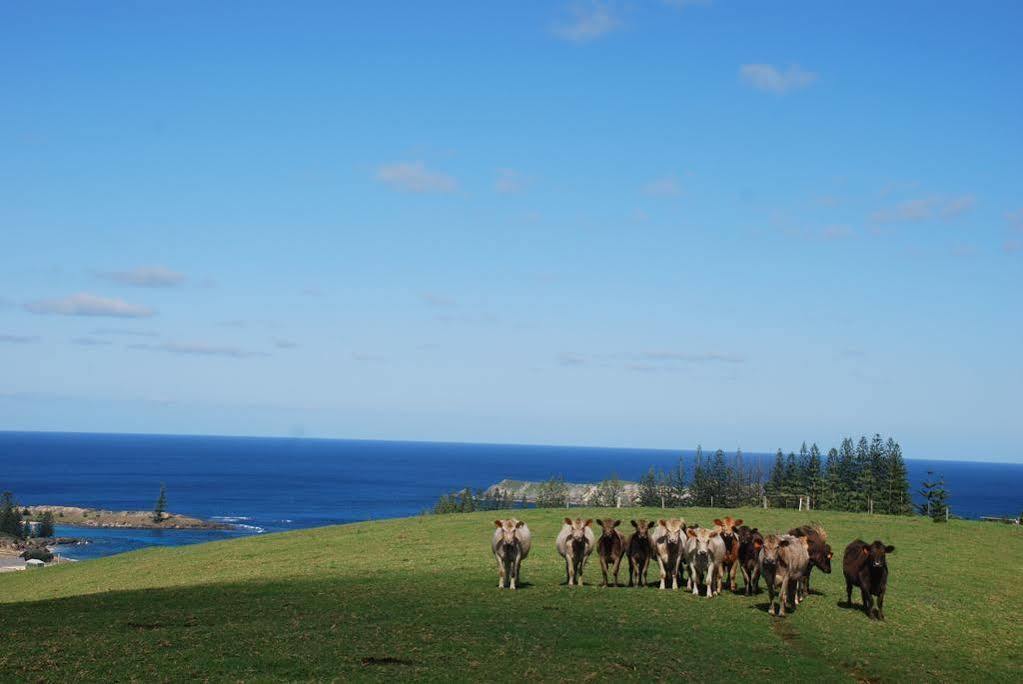 Coast Norfolk Island Appartement Burnt Pine Buitenkant foto